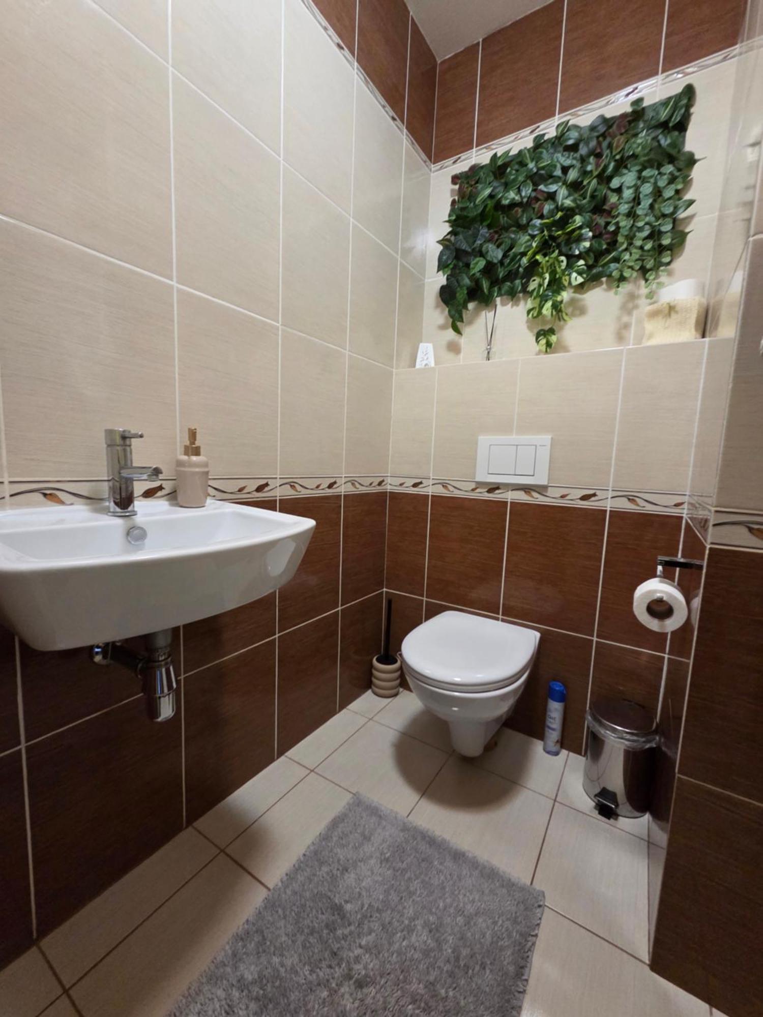 Apartment High Tatras Veľký Slavkov Dış mekan fotoğraf