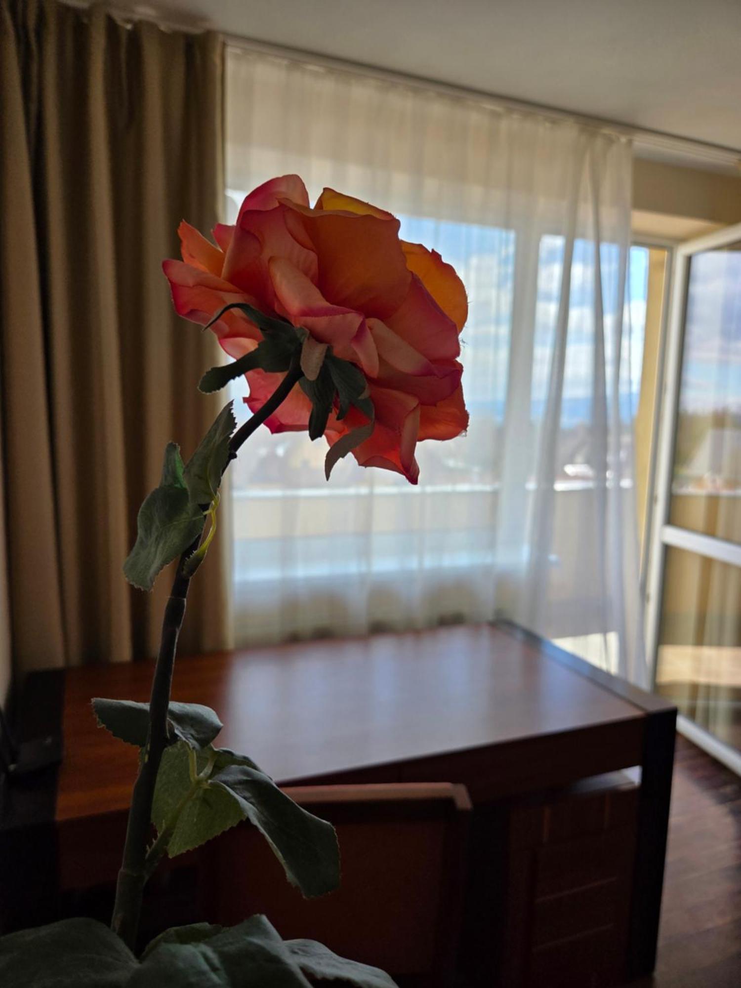 Apartment High Tatras Veľký Slavkov Dış mekan fotoğraf